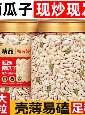 南瓜子2025新货原味椒盐五香炒货当季坚果休闲年货新货炒熟南瓜籽
