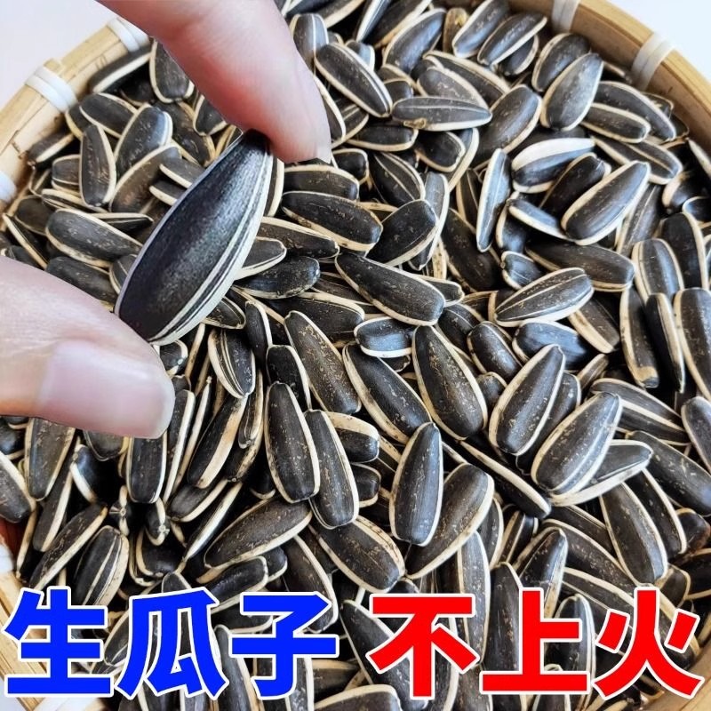 生瓜子5斤大颗粒内蒙古新鲜葵瓜子非原味炒熟葵花籽休闲零食新货