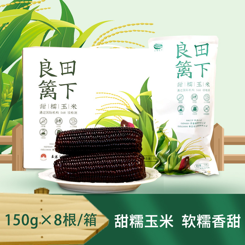 良田篱下黑玉米非转基因