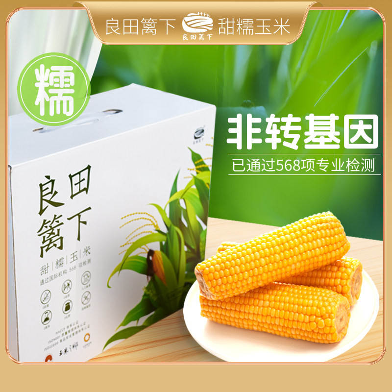 【好物体验专享】东北甜糯黄玉米非转基因甜糯黑玉米低脂真空包装
