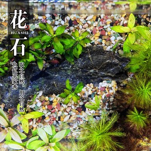 鱼缸底部砂石鱼缸里放的小石头鱼缸石头子铺底养花专用小石子天然