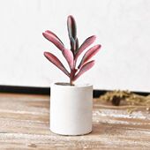 Plants Artificial Succulent Landscape