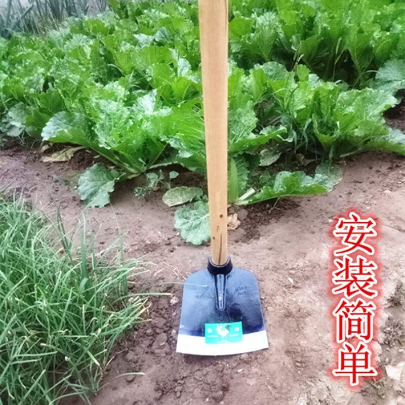 木柄锄eW头农具种菜除草翻地长木柄农用工具园艺锻打号宽锄头 小