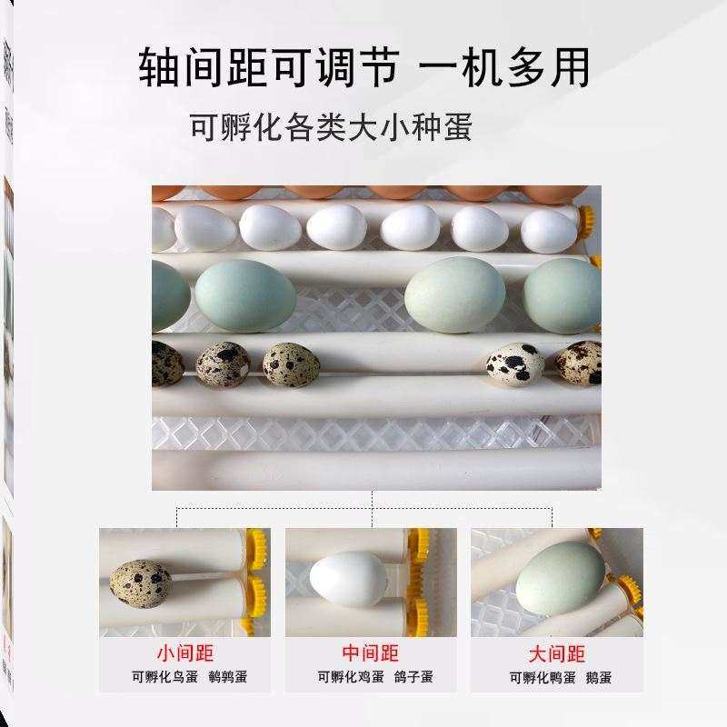 好货机器小鸡孵化机呼化器鸭鹅的水床家用全自动小型敷鸡蛋器鹌鹑