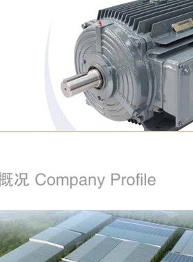 议价贝得电机1TL0001-2AA53-3AA4 37KW2极三相交流异步感应电动机