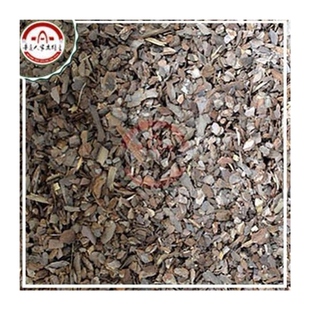 新款创意杉木香樟木原木树桩多肉植物铁皮石斛专用木质花盆青苔松