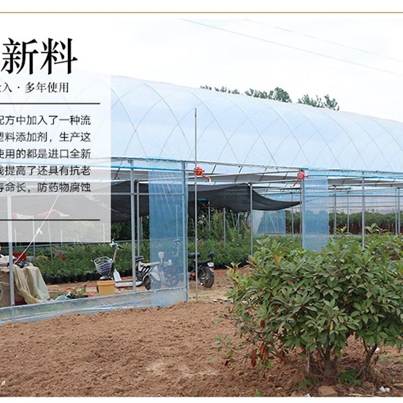 极速新品整卷塑料膜大棚膜包装膜工程防F护膜防尘遮盖膜高透光透
