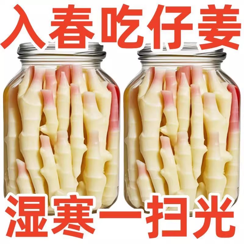 新鲜枸杞泡嫩姜芽仔姜糖醋嫩姜芽生姜腌制即食下饭菜非养蜂饲料