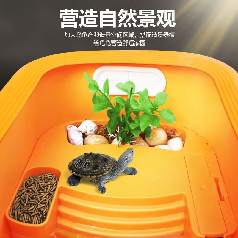 速发乌龟饲养缸小型缸生态养墅水陆两用晒台爬坡别龟缸造态生景缸