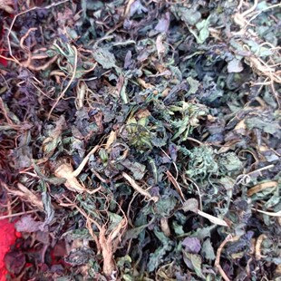 中药材苦碟子沂蒙山野生晒干山苦菜茶苦碟子野菜泡水2025无硫新品