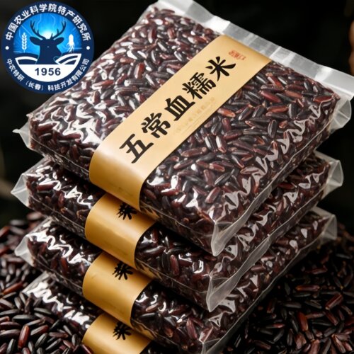 央妈推荐正宗东北紫米血糯米新米