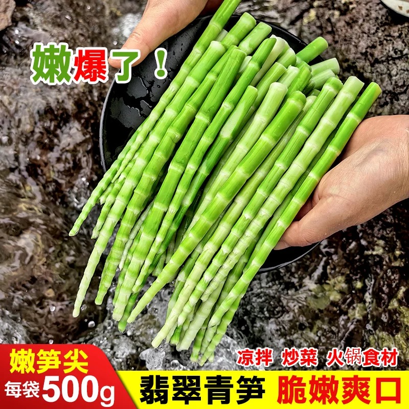 高山方竹笋新鲜嫩笋尖脆笋罗汉笋春笋袋装火锅笋笋子笋干餐饮商用