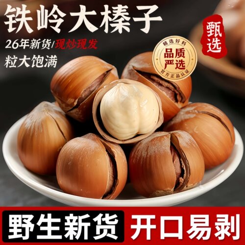 东北铁岭野生特大薄壳开口榛子