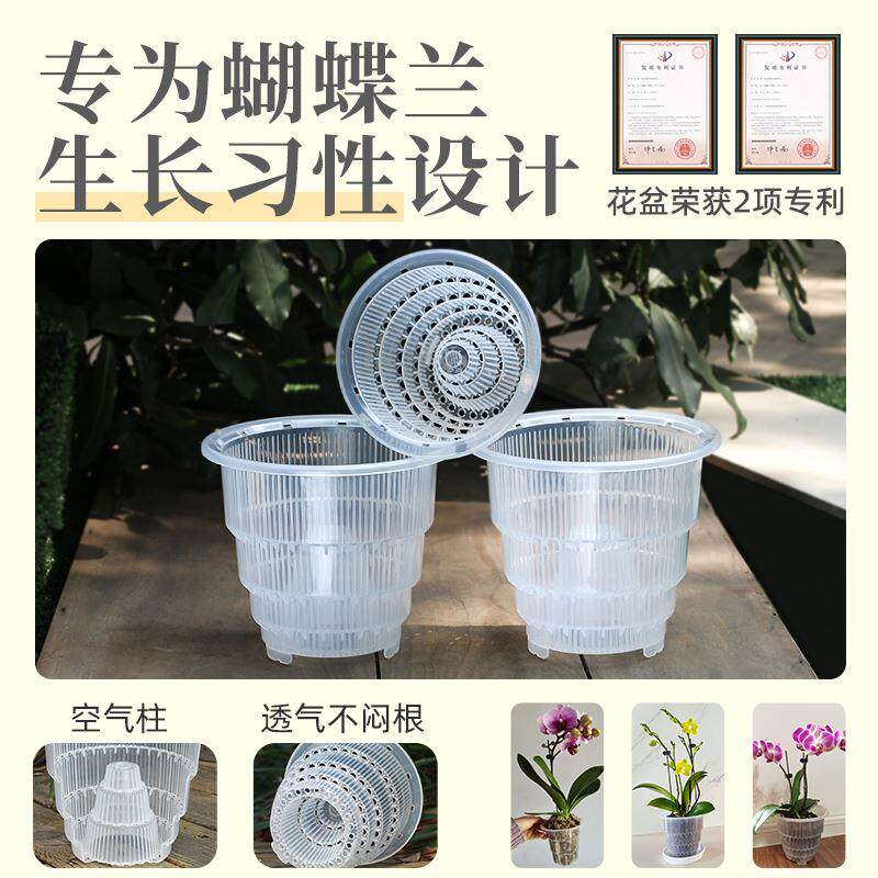 美莳蝴蝶兰专用花盆透明透气塑料杯水苔青山盆栽单只水培控根换盆