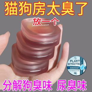 宠物除臭剂杀菌去尿味猫尿狗尿生物酶分解猫咪狗狗猫砂除臭神器