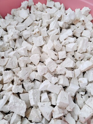 云南白茯苓中药材正品特级500克包邮土伏芩粉干茯苓块泡水喝