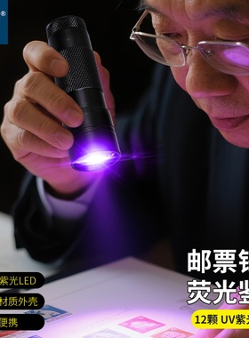 拜斯特12led紫光手电筒荧光剂检测灯紫外辐射灯钱币邮票翡翠鉴定