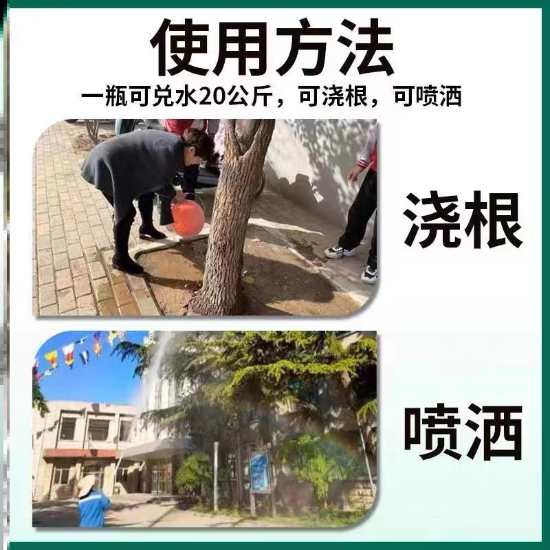 急速发货【一滴烂根】高浓度强力除杂草杂木杂竹清烂根助剂天敌神