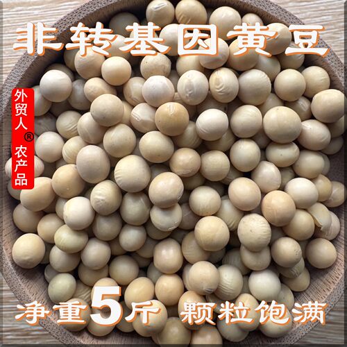 东北非转基因大豆新货黄豆