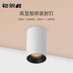 初识灯饰 明装射灯客厅背景墙小山丘天花灯全光谱聚光无主灯照明