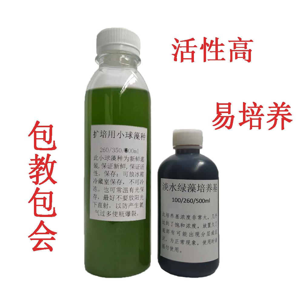 淡水小球藻扩培套装藻种绿水+培养基激活素快速培藻水产养殖调水