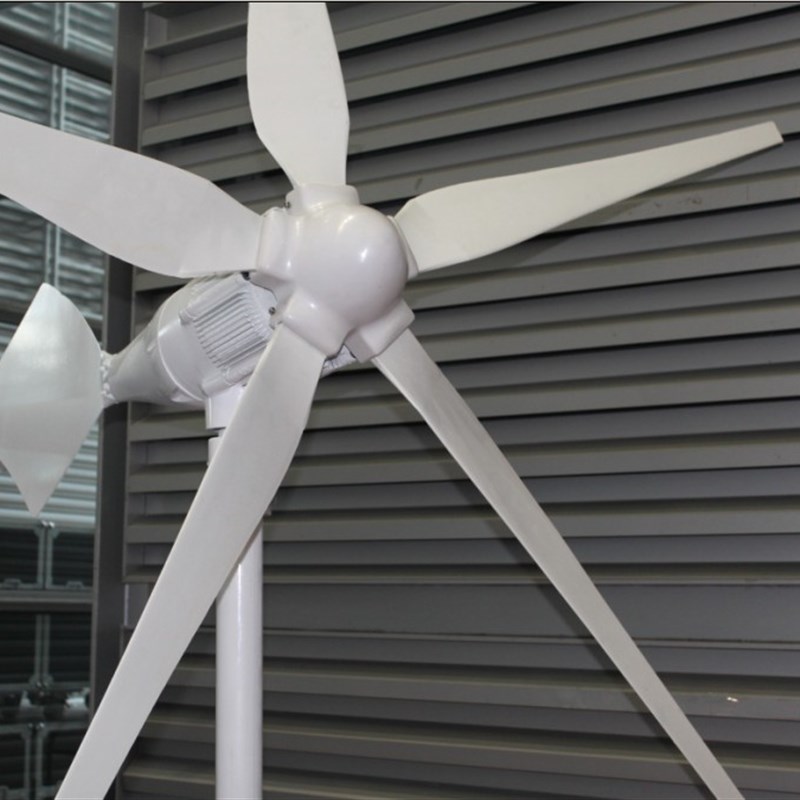 网红新品白色800W小型风力发电机家用微风12VH24V48V风能五叶微风