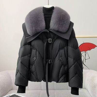 2025秋冬新款棉服女短款