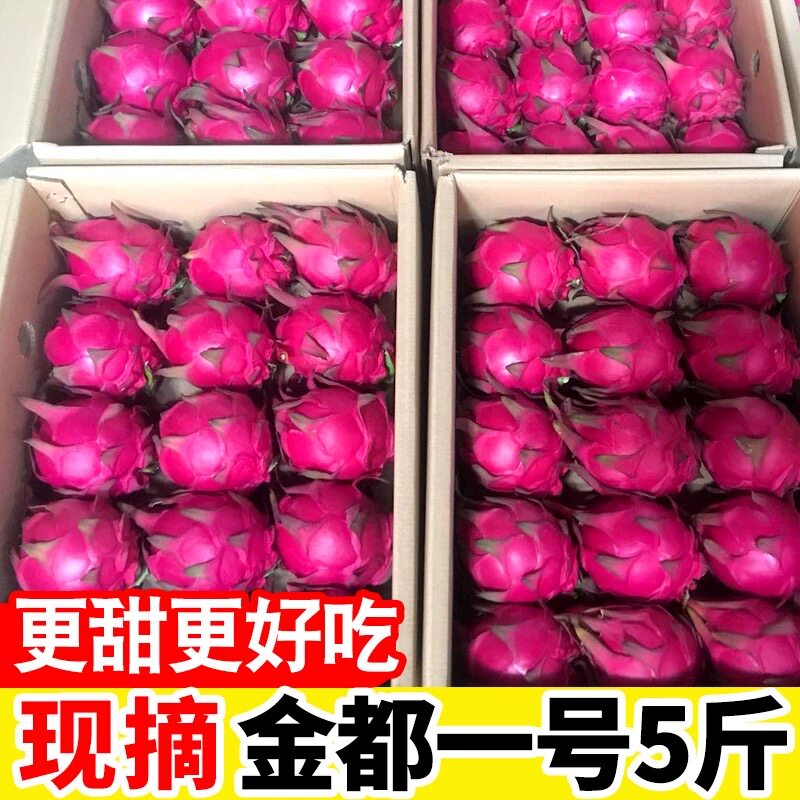 红心火龙果金都一号当季新鲜水果整箱批发火龙果特大果5斤包邮10