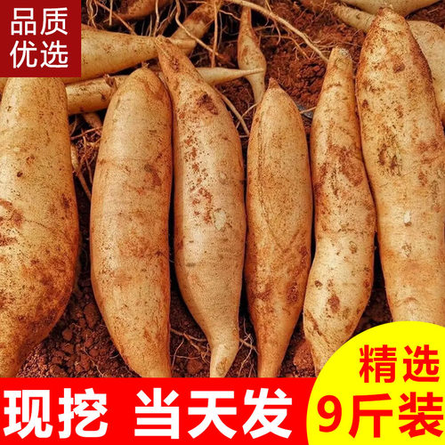 云南天山雪莲果新鲜水果当季现挖脆甜红心雪连果时令大果整箱包邮