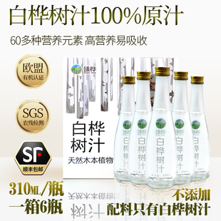 天然100%白桦树汁原液原汁无添加木本植物饮NFC白桦树水310ml*6瓶