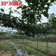 Спортивная сеть/периметр