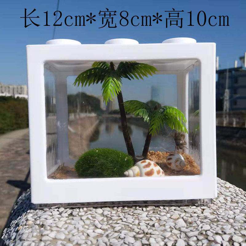 推荐小学生适合养的宠物迷你豆豆蟹d桌面可爱系生态系统缸造景儿