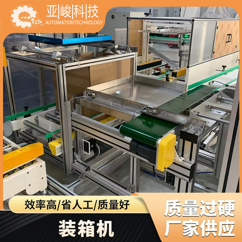 源头厂家直供抓取机械式全自动装箱装卸货流水线袋装盒装箱机