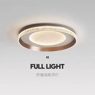 全光谱护眼书房灯极简轻奢主卧室吸顶灯现代简约高级感主卧房间灯