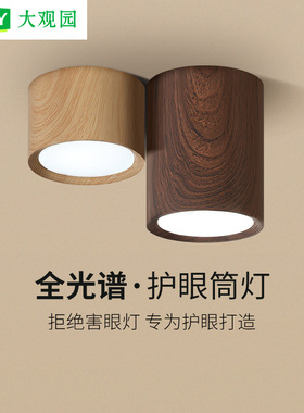 LED明装筒灯客厅天花灯玄关过道灯全光谱护眼客厅无主灯照明L335