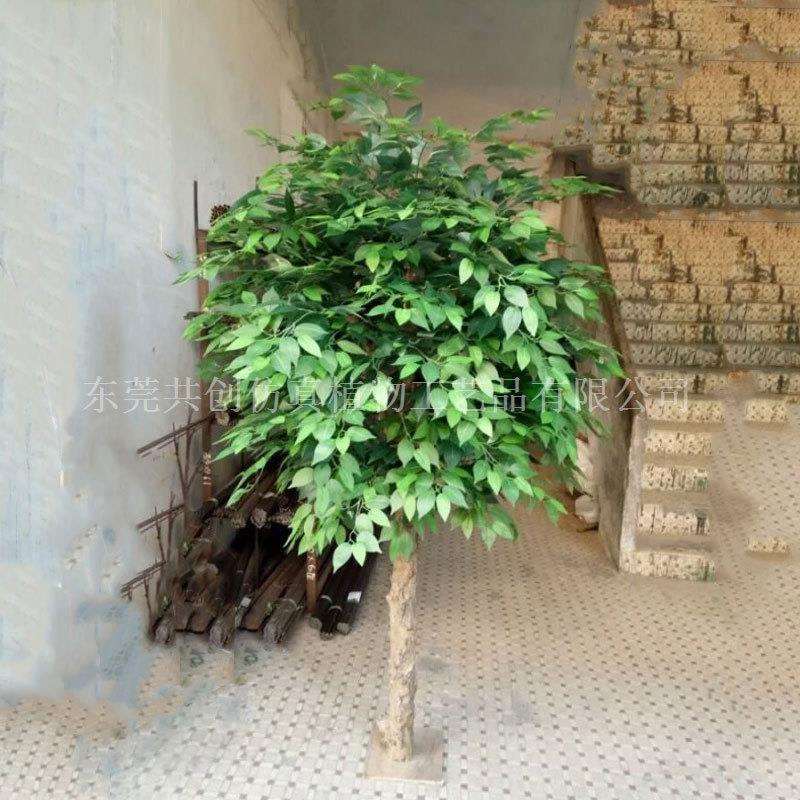 真杆仿真小榕树娟布叶绿榕室内外摆放盆景植物小樟树叶屏风隔断