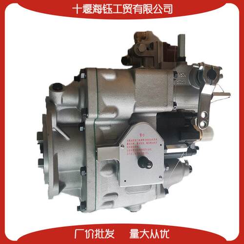 重庆康明斯柴油发动机配件NT855燃油喷射泵总成49514513059657