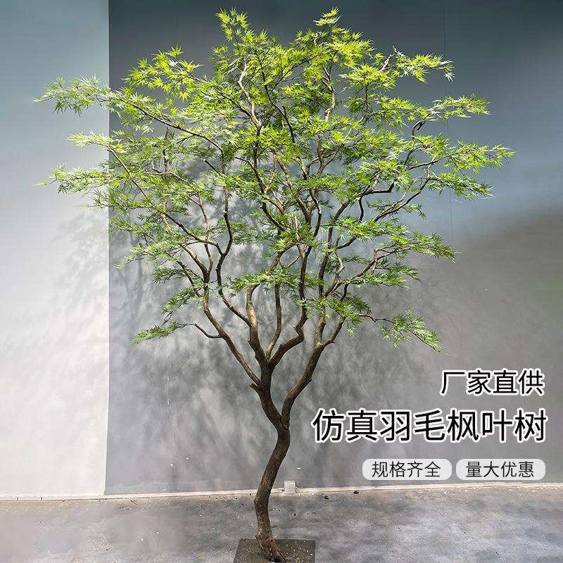 仿真羽毛枫叶树马醉木室内假树绿植造景橱窗装饰造景大型橱窗植物