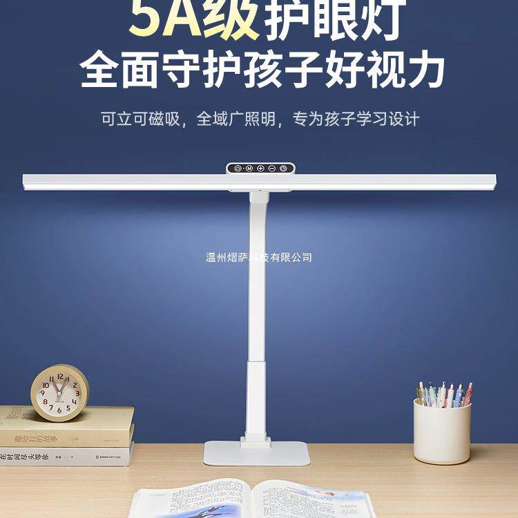 台灯学习专用护眼灯国AA学生儿童书桌孩子写作业写字充电台风新款