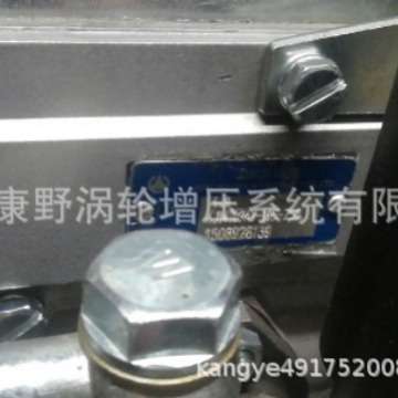 适用玉柴喷油泵4JI A9H00-1111100-351 4JI471Y和4JI414BY D8100