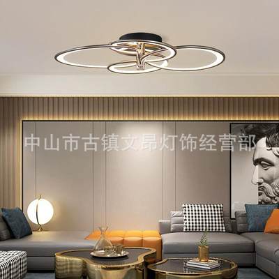 2023款现代简约客厅吸顶灯led餐厅灯饰北欧创意个性圆环卧室吊灯