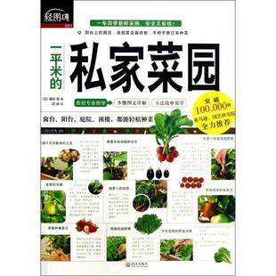 私家菜园 日 KBCT一平米 轻图典 管婧9787543073906武汉 藤田智 译者