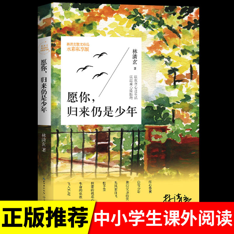 愿你归来仍是少年(林清玄启悟人生系列)长江,书籍/杂志/报纸,古/近代小说（1919年前）,淘宝优惠券,粉丝福利购,淘宝优惠卷