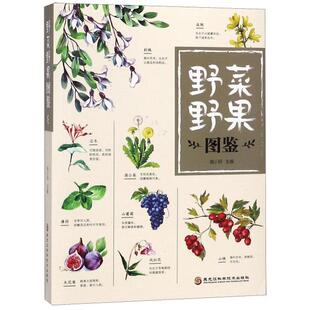 CYSJ野菜野果图鉴珞小玥9787538898774黑龙江科技