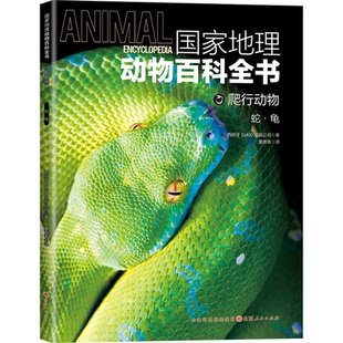 CJLH地理动物百科全书爬行动物蛇•龟西班牙动植物哺乳鸟类无脊椎爬行两栖动物鸟类恐龙世界动物学家献给青少年的科普了解整个动物