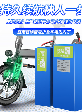折叠电动车电芯内置代驾车通用三元锂电池48V25AH可定制尺寸