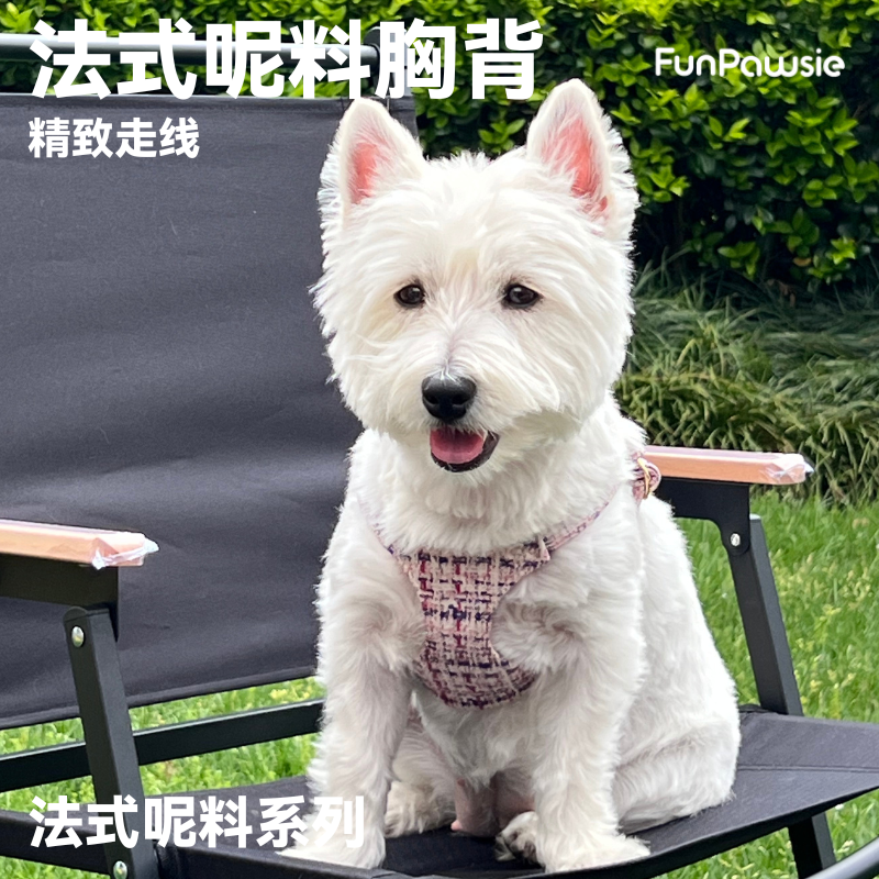 秋冬粗花呢胸背带套装小型犬日常