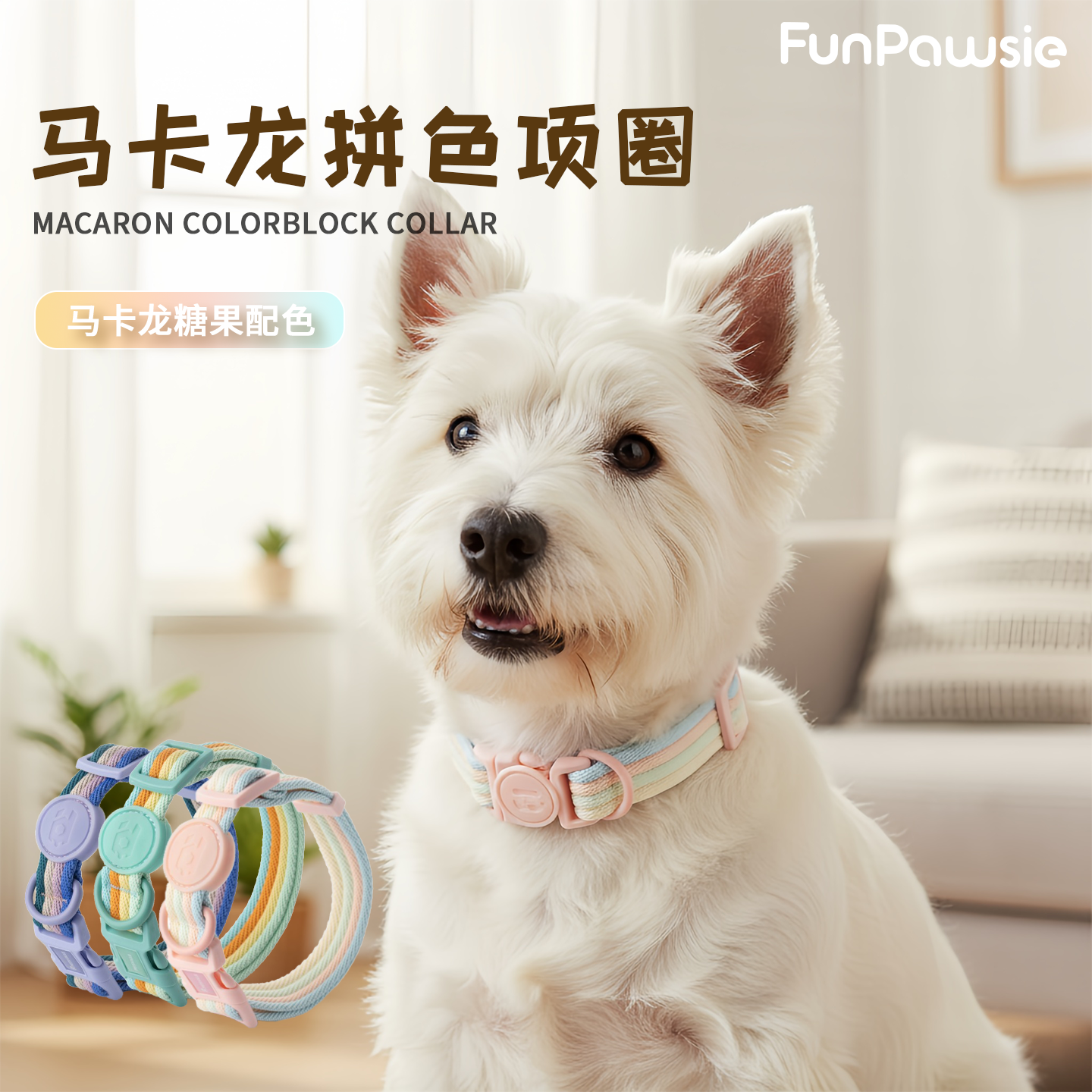 马卡龙色系项圈牵引绳套装