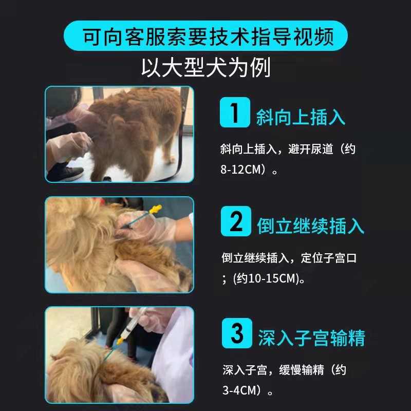 速发输精管配种犬用输精一次性人工授精兽用配狗器深部狗用助孕器