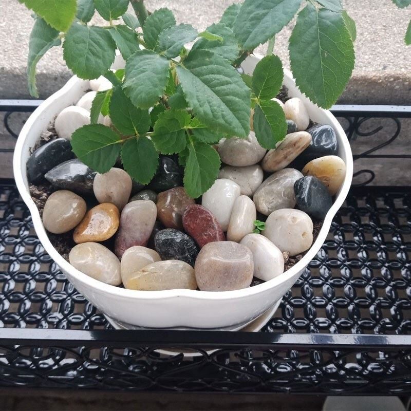 速发压盆石花盆铺底鹅卵石大颗雨花石景小鱼缸造原花盆栽石石子彩